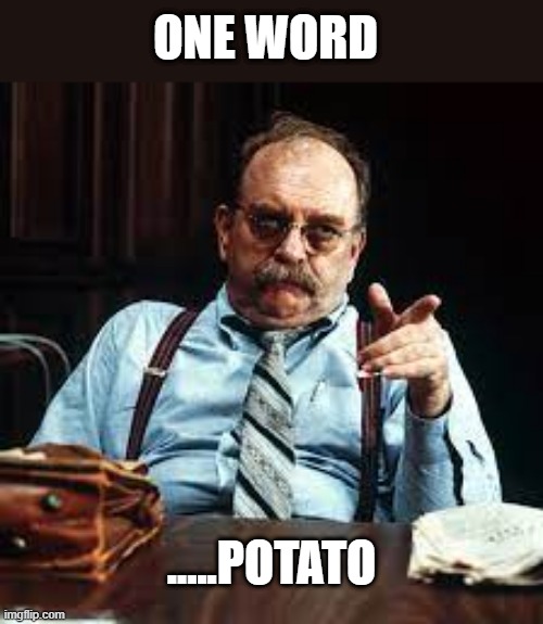 random potato | ONE WORD; .....POTATO | image tagged in potato,wilford brimley,diabetes,random potato | made w/ Imgflip meme maker