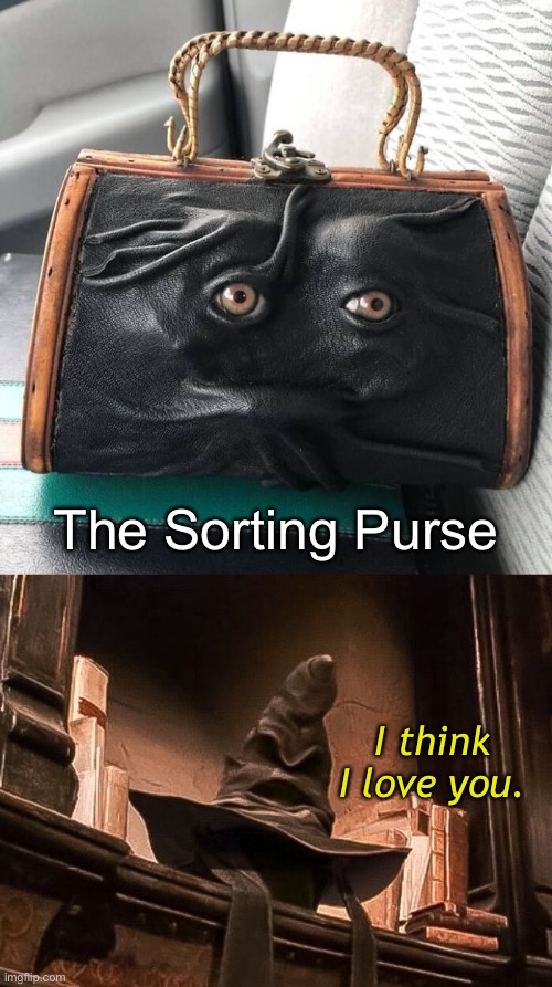 There’s Someone Out There For Everyone ❤️ | The Sorting Purse; I think I love you. | image tagged in funny memes,harry potter,harry potter sorting hat | made w/ Imgflip meme maker