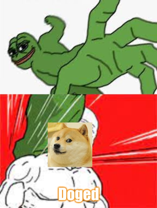 Punch doge | Doged | image tagged in punch and dodge | made w/ Imgflip meme maker