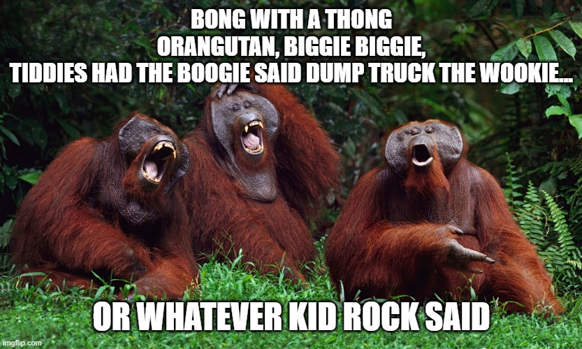 Kid Stronk |  BONG WITH A THONG
ORANGUTAN, BIGGIE BIGGIE,
TIDDIES HAD THE BOOGIE SAID DUMP TRUCK THE WOOKIE... OR WHATEVER KID ROCK SAID | image tagged in laughing orangutans,kid rock,stronks,misheard lyrics | made w/ Imgflip meme maker