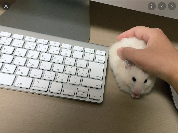 Why Isn t My Mouse Working Blank Template Imgflip