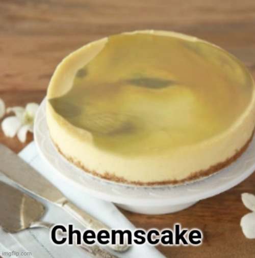 Cheemscake | image tagged in cheemscake | made w/ Imgflip meme maker
