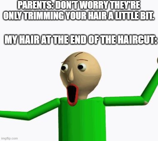 Yeah my hair literally looks just the same! | PARENTS: DON'T WORRY THEY'RE ONLY TRIMMING YOUR HAIR A LITTLE BIT. MY HAIR AT THE END OF THE HAIRCUT: | image tagged in baldi,bald,hair,haircut,memes,why are you reading this | made w/ Imgflip meme maker