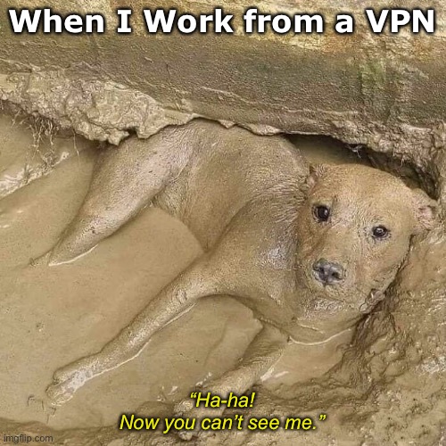 Virtual Private Network | When I Work from a VPN; “Ha-ha!
Now you can’t see me.” | image tagged in funny memes,computer jokes,dogs,mud | made w/ Imgflip meme maker