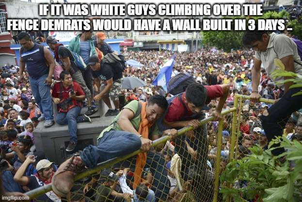BORDER WIDE OPEN | IF IT WAS WHITE GUYS CLIMBING OVER THE FENCE DEMRATS WOULD HAVE A WALL BUILT IN 3 DAYS .. | image tagged in wait that s illegal | made w/ Imgflip meme maker