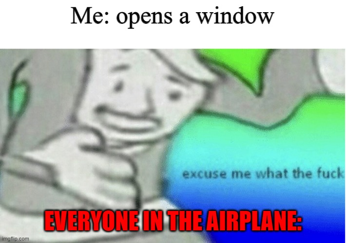 Forget it, I'll do it sometime, ooh I'm locked up on the button Can't you do it sometime? Pushed it in too far, oh | Me: opens a window; EVERYONE IN THE AIRPLANE: | image tagged in excuse me what the f ck,airplane,wtf,so you have chosen death | made w/ Imgflip meme maker