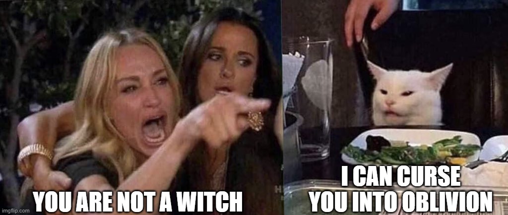 I am a witch | YOU ARE NOT A WITCH; I CAN CURSE YOU INTO OBLIVION | image tagged in woman yelling at cat | made w/ Imgflip meme maker
