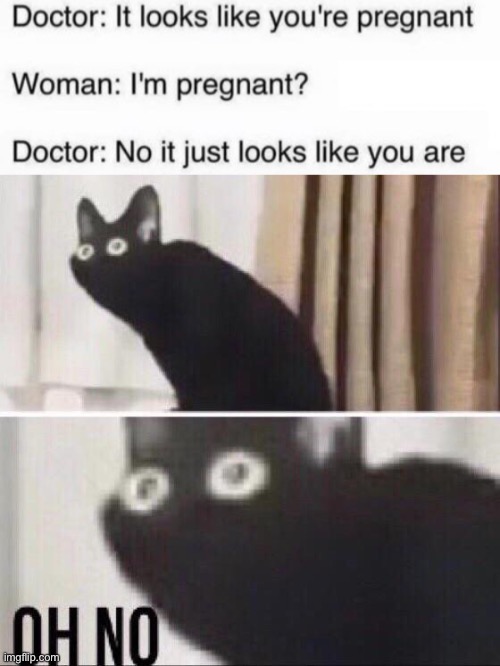 uh oh | image tagged in oh no cat,dark humor,funny,woman,pregnant | made w/ Imgflip meme maker