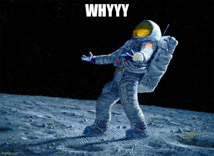 astronaut | WHYYY | image tagged in astronaut | made w/ Imgflip meme maker