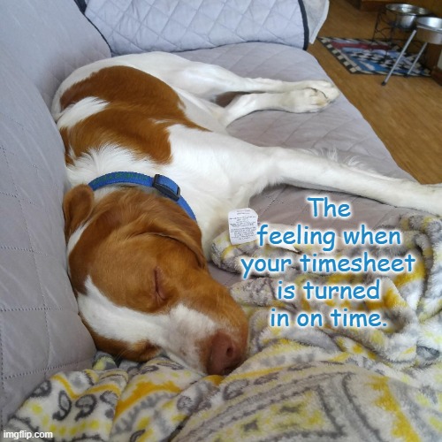 Timesheet Dreams | The feeling when your timesheet is turned in on time. | image tagged in timesheet reminder,timesheet meme | made w/ Imgflip meme maker