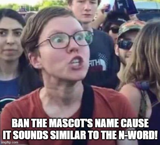 Angry Liberal | BAN THE MASCOT'S NAME CAUSE IT SOUNDS SIMILAR TO THE N-WORD! | image tagged in angry liberal | made w/ Imgflip meme maker