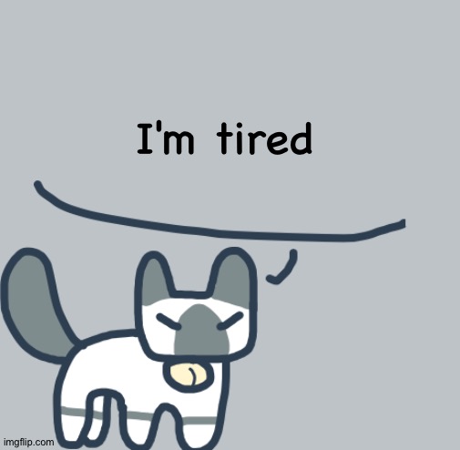 No I won't sleep | I'm tired | image tagged in cat | made w/ Imgflip meme maker
