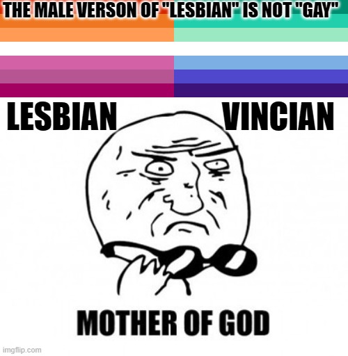 I did NOT know that! Did they JUST change it?! | THE MALE VERSON OF "LESBIAN" IS NOT "GAY"; LESBIAN                 VINCIAN | image tagged in memes,mother of god,lesbian,vincian,lgbt | made w/ Imgflip meme maker