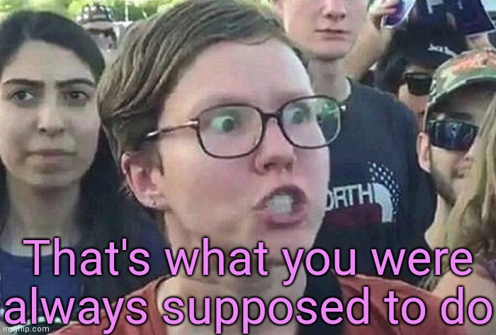 Triggered Liberal | That's what you were always supposed to do | image tagged in triggered liberal | made w/ Imgflip meme maker