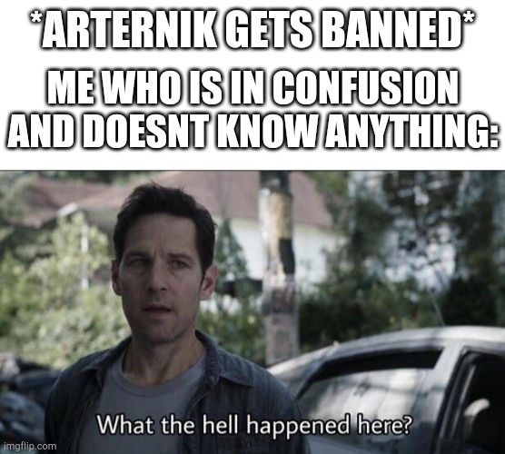 What the heck really happened here? | *ARTERNIK GETS BANNED*; ME WHO IS IN CONFUSION AND DOESNT KNOW ANYTHING: | image tagged in what the hell happened here | made w/ Imgflip meme maker