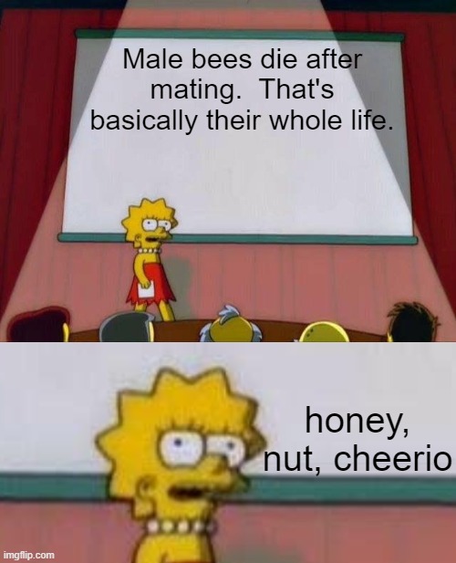 Male bees die after mating.  That's basically their whole life. honey, nut, cheerio | image tagged in lisa simpson's presentation | made w/ Imgflip meme maker