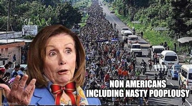 NON AMERICANS INCLUDING NASTY POOPLOUSY | made w/ Imgflip meme maker