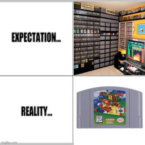 Expectation vs Reality | image tagged in expectation vs reality | made w/ Imgflip meme maker