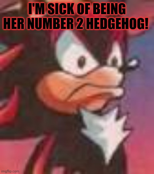 Shadow the Hedgehog | I'M SICK OF BEING HER NUMBER 2 HEDGEHOG! | image tagged in shadow the hedgehog | made w/ Imgflip meme maker
