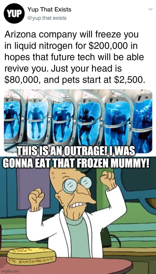 Cryo Mummy |  THIS IS AN OUTRAGE! I WAS GONNA EAT THAT FROZEN MUMMY! | image tagged in futurama,professor farnsworth | made w/ Imgflip meme maker