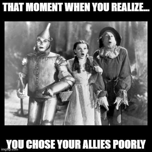 Chose poorly | THAT MOMENT WHEN YOU REALIZE... YOU CHOSE YOUR ALLIES POORLY | image tagged in lions and tigers and bears oh my wizard of oz,allies trouble friends | made w/ Imgflip meme maker
