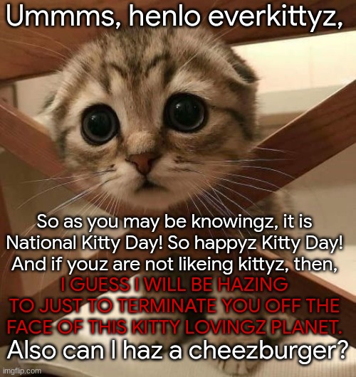 Happy Kittyz Day! | Ummms, henlo everkittyz, So as you may be knowingz, it is National Kitty Day! So happyz Kitty Day! And if youz are not likeing kittyz, then, I GUESS I WILL BE HAZING TO JUST TO TERMINATE YOU OFF THE FACE OF THIS KITTY LOVINGZ PLANET. Also can I haz a cheezburger? | image tagged in cute kitty cat,national cat day,best day of the year,can i haz a cheezburger,too cute,baby kitten | made w/ Imgflip meme maker