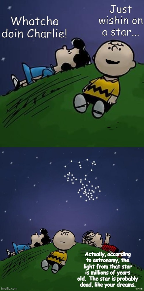 Just wishin on a star... Whatcha doin Charlie! Actually, according to astronomy, the light from that star is millions of years old.  The star is probably dead, like your dreams. | image tagged in dark humor | made w/ Imgflip meme maker