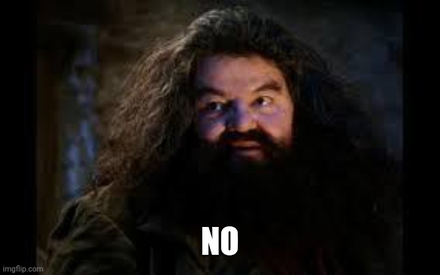 hagrid yer a wizard | NO | image tagged in hagrid yer a wizard | made w/ Imgflip meme maker