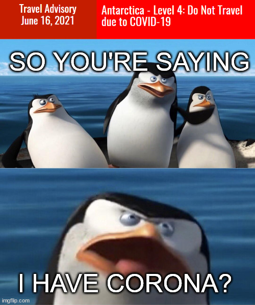  SO YOU'RE SAYING; I HAVE CORONA? | image tagged in wouldn't that make you,fun,coronavirus,penguins of madagascar,memes | made w/ Imgflip meme maker