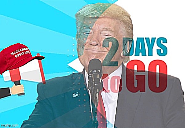 Trump 2 days | image tagged in trump 2 days | made w/ Imgflip meme maker