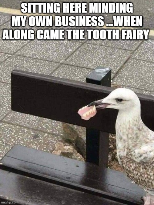 Sitting here minding my own business | SITTING HERE MINDING MY OWN BUSINESS ...WHEN ALONG CAME THE TOOTH FAIRY | image tagged in tooth fairy,mindblown | made w/ Imgflip meme maker