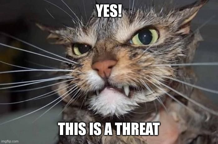Angry Mad Cat | YES! THIS IS A THREAT | image tagged in angry mad cat | made w/ Imgflip meme maker