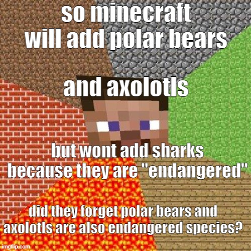 wtf minecraft |  so minecraft will add polar bears; and axolotls; but wont add sharks because they are "endangered"; did they forget polar bears and axolotls are also endangered species? | image tagged in minecraft steve | made w/ Imgflip meme maker