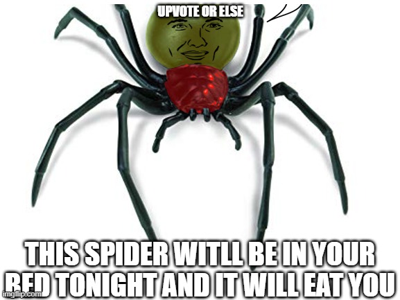 sPIDER | UPVOTE OR ELSE; THIS SPIDER WITLL BE IN YOUR BED TONIGHT AND IT WILL EAT YOU | image tagged in memes | made w/ Imgflip meme maker