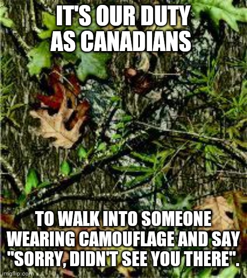 Oops, sorry | IT'S OUR DUTY AS CANADIANS; TO WALK INTO SOMEONE WEARING CAMOUFLAGE AND SAY "SORRY, DIDN'T SEE YOU THERE". | image tagged in camo | made w/ Imgflip meme maker