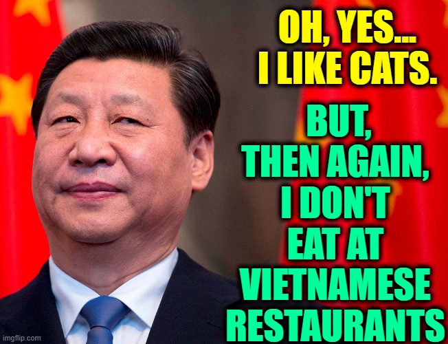 What does his smirking face tell you? | OH, YES...
I LIKE CATS. BUT,
THEN AGAIN,
I DON'T
EAT AT
VIETNAMESE
RESTAURANTS | image tagged in vince vance,cats,memes,vietnamese,chinese food,xi jinping | made w/ Imgflip meme maker