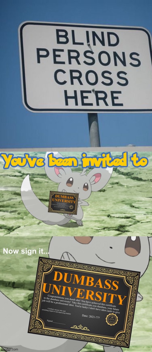 image tagged in you've been invited to dumbass university,funny,dark humor,funny memes,memes | made w/ Imgflip meme maker