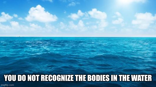 Ocean | YOU DO NOT RECOGNIZE THE BODIES IN THE WATER | image tagged in ocean | made w/ Imgflip meme maker