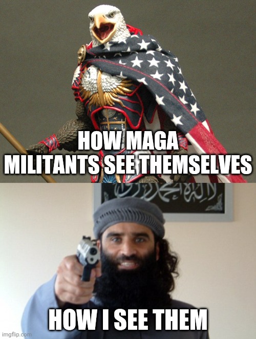 HOW MAGA MILITANTS SEE THEMSELVES HOW I SEE THEM | image tagged in patriotic defender eagle of america,islam terrorist | made w/ Imgflip meme maker