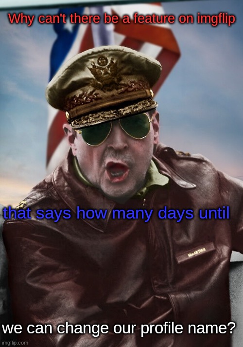 Why can't there be a feature on imgflip; that says how many days until; we can change our profile name? | image tagged in napoleon's macarthur temp | made w/ Imgflip meme maker