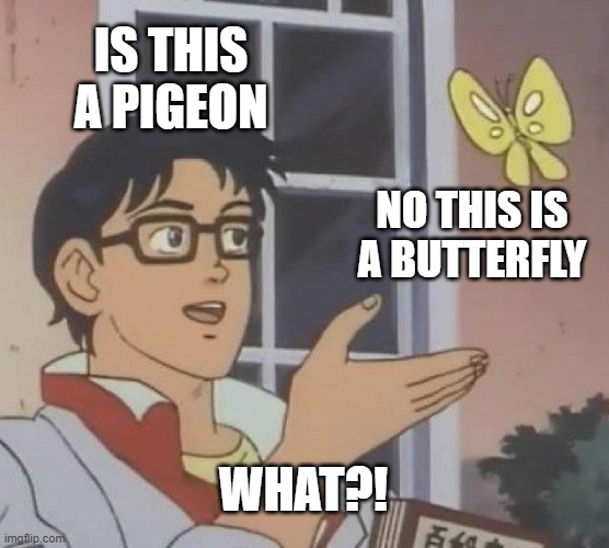 Is This A Pigeon | IS THIS A PIGEON; NO THIS IS A BUTTERFLY; WHAT?! | image tagged in memes,is this a pigeon | made w/ Imgflip meme maker