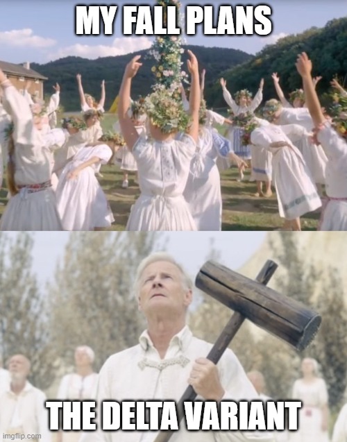 My Midsommar Plans | MY FALL PLANS; THE DELTA VARIANT | image tagged in my midsommar plans | made w/ Imgflip meme maker