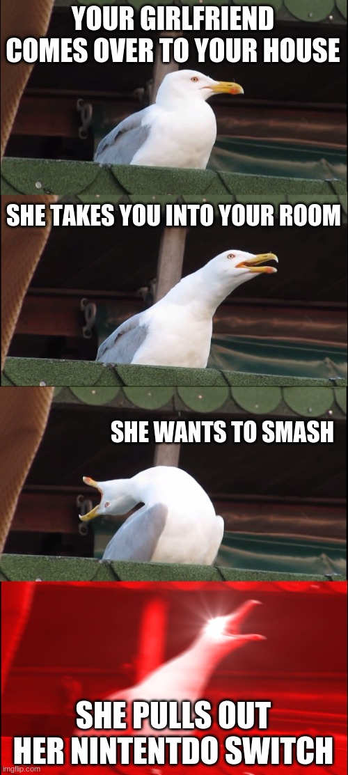 wait for it... |  YOUR GIRLFRIEND COMES OVER TO YOUR HOUSE; SHE TAKES YOU INTO YOUR ROOM; SHE WANTS TO SMASH; SHE PULLS OUT HER NINTENTDO SWITCH | image tagged in memes,inhaling seagull,super smash bros,nintendo | made w/ Imgflip meme maker