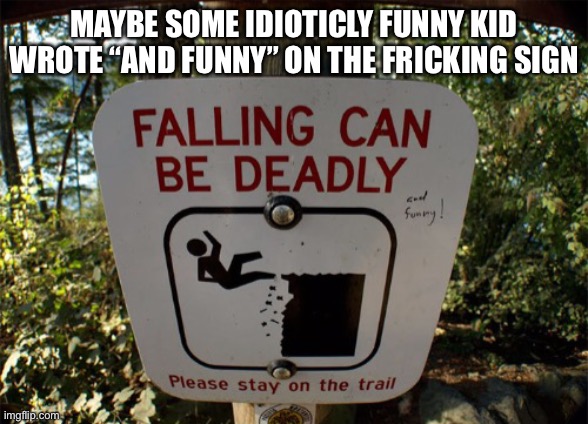 Wat? | MAYBE SOME IDIOTICLY FUNNY KID WROTE “AND FUNNY” ON THE FRICKING SIGN | image tagged in falling can be deadly,falling can be deadly and funny,and funny,barney will eat all your delectable biscuits | made w/ Imgflip meme maker