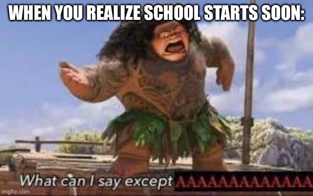 true tho | WHEN YOU REALIZE SCHOOL STARTS SOON: | image tagged in what can i say except aaaaaaaaaaa,funny,school,oh no | made w/ Imgflip meme maker