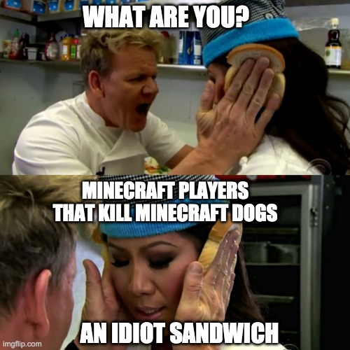 Gordon Ramsay Idiot Sandwich | WHAT ARE YOU? MINECRAFT PLAYERS THAT KILL MINECRAFT DOGS; AN IDIOT SANDWICH | image tagged in gordon ramsay idiot sandwich | made w/ Imgflip meme maker