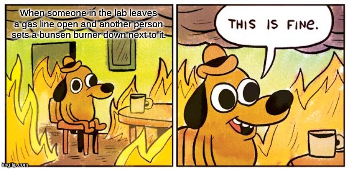 NOw WhaT. | When someone in the lab leaves a gas line open and another person sets a bunsen burner down next to it. | image tagged in memes,this is fine | made w/ Imgflip meme maker