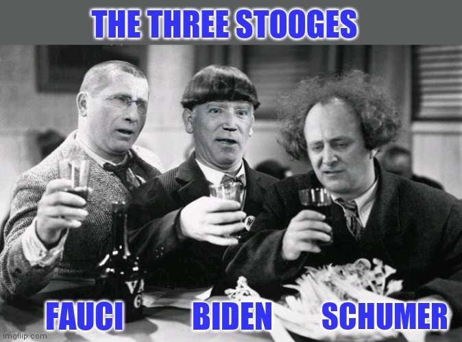 Original 3 stooges | THE THREE STOOGES; FAUCI; BIDEN; SCHUMER | image tagged in democrat donkey,creepy joe biden | made w/ Imgflip meme maker