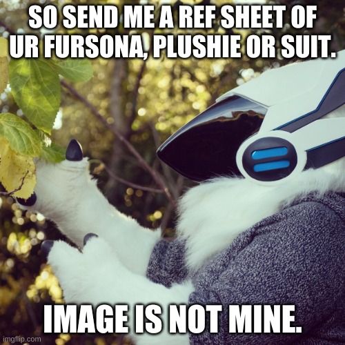 ahrdgkhghjgdsersryedgjk,jgftrdesedftgjhkjtffcgv | SO SEND ME A REF SHEET OF UR FURSONA, PLUSHIE OR SUIT. IMAGE IS NOT MINE. | image tagged in furries,furry | made w/ Imgflip meme maker