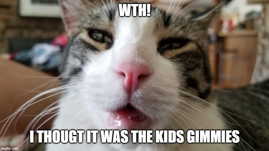 WTH | WTH! I THOUGT IT WAS THE KIDS GIMMIES | image tagged in stoned cat | made w/ Imgflip meme maker